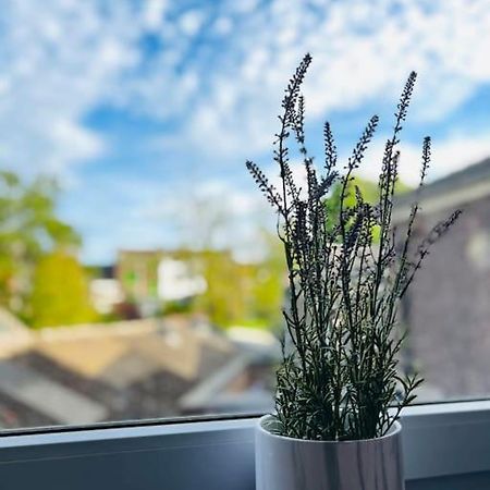 Charmant Petit Appartement. Liege Bagian luar foto