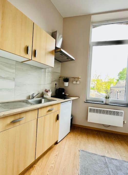 Charmant Petit Appartement. Liege Bagian luar foto