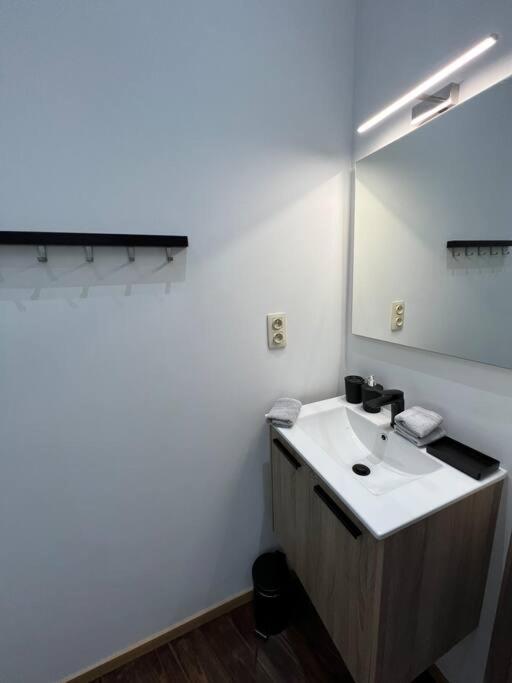 Charmant Petit Appartement. Liege Bagian luar foto