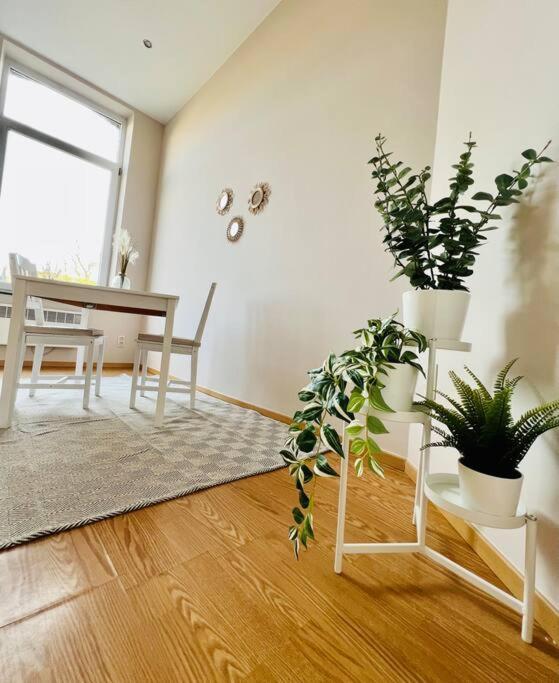 Charmant Petit Appartement. Liege Bagian luar foto